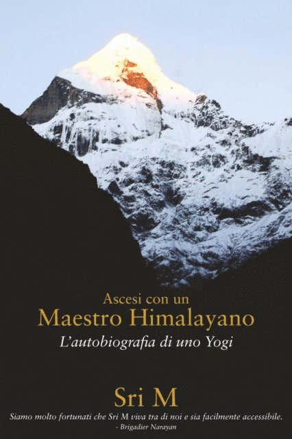 Sri M - Ascesi con un Maestro Himalayano, E-bok