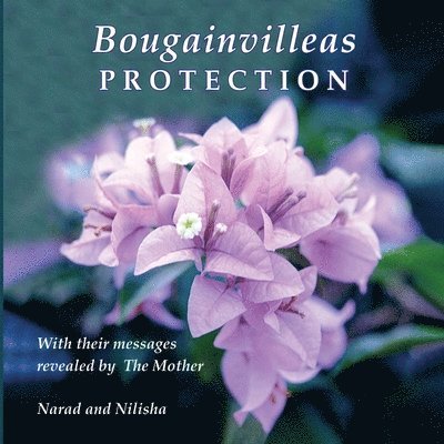 Narad (Richard Eggenberger), Nilisha Mehta - Bougainvilleas PROTECTION, Häftad. Tillgänglighet: Lägg i varukorg