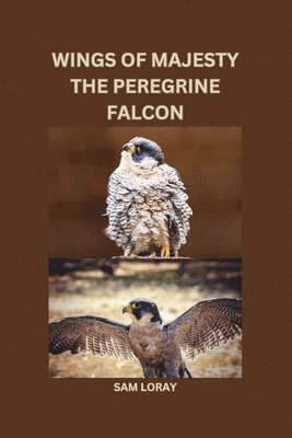 Sam Loray - Wings of Majesty: The Peregrine Falcon, Häftad