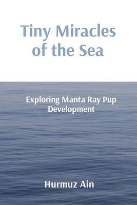 Hurmuz Ain - Tiny Miracles of the Sea, Häftad