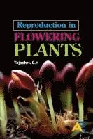 Tejashri C H - Reproduction in Flowering Plants, Häftad. Tillgänglighet: Lägg i varukorg