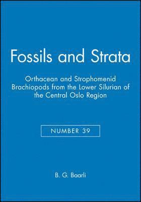B. Gudveig Baarli - Orthacean and Strophomenid Brachiopods from the Lower Silurian of the Central Oslo Region, Häftad