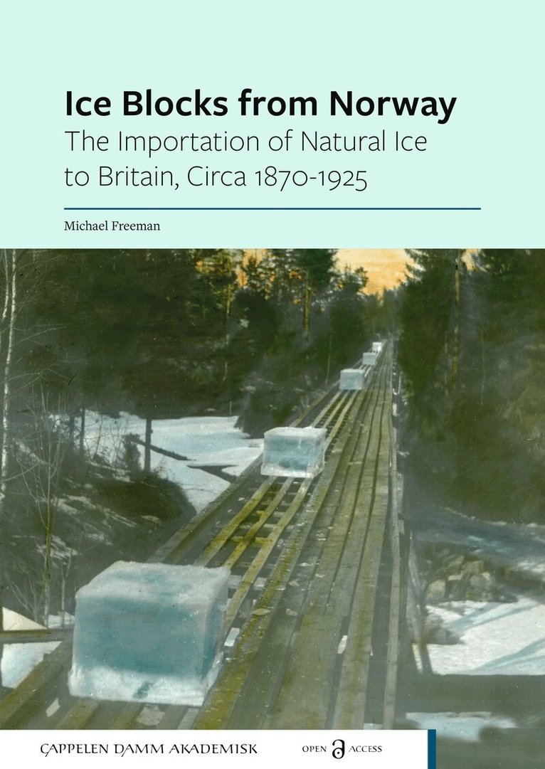 Michael Freeman - Ice Blocks from Norway, Häftad