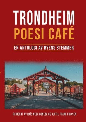 Håvard Stamnes, Ragnhild Avelsgaard Lien, Raïs Neza Boneza - Trondheim Poesi Café: En Antologi av Byens Stemmer, Häftad