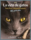 Vida De Gatos