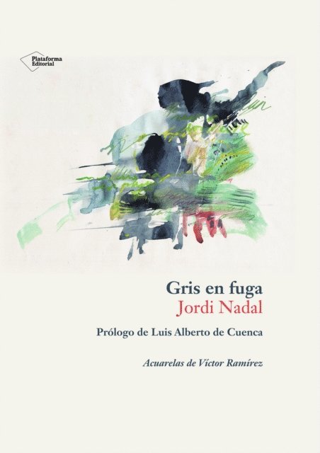 Jordi Nadal - Gris en fuga, E-bok