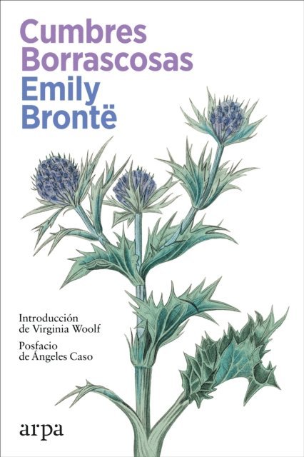Emily Bronte - Cumbres Borrascosas, E-bok