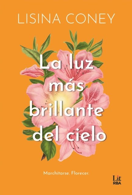 Lisina Coney - La luz más brillante del cielo, E-bok