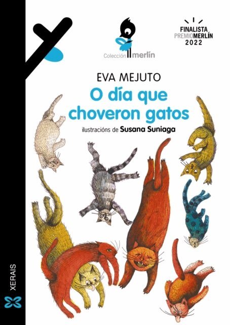 Eva Mejuto - O dia que choveron gatos, E-bok