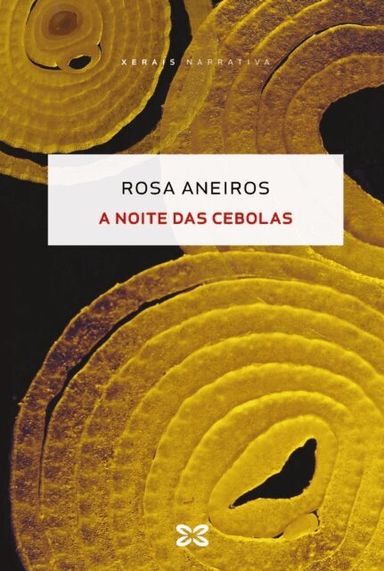 Rosa Aneiros - noite das cebolas, E-bok