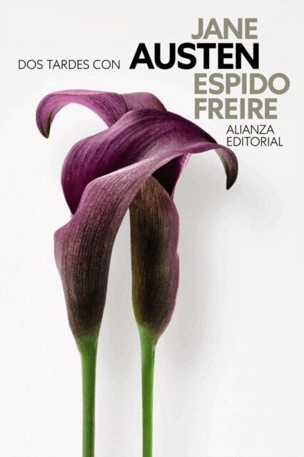 Espido Freire - Dos tardes con Jane Austen, E-bok