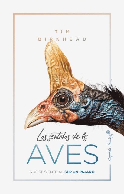 Tim Birkhead - Los sentidos de las aves, E-bok