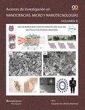 Avances en investigacin en Nanociencias, Micro y Nanotecnologas (Vol II)