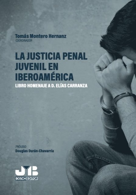 Valentin Mayoral Narros, Miguel Alberto Trejo Escobar, Maria Consuelo Barletta Villaran, Kathia Ponce Mendives, Jairo Alberto Martinez Idarraga, Gustavo Jalkh Roben, Gilberto C. Rodriguez Olivar, Francisco J. Estrada Vasquez, Coronel Alen, Edith Victoria, Douglas Duran-Chavarria, Carlos Tiffer Sotomayor, Alfonso Ortega Matesanz, Tomas Montero Hernanz, Sergio Camara Arroyo - La justicia penal juvenil en Iberoamérica, E-bok