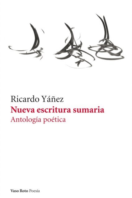 Ricardo Yanez - Nueva escritura sumaria, E-bok
