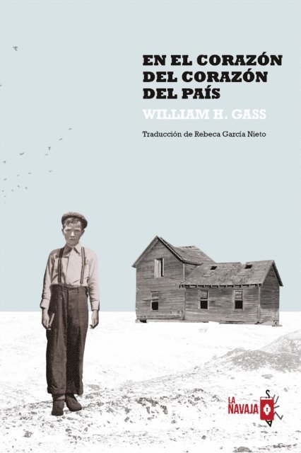 William H. Gass - En el corazón del corazón del país, E-bok