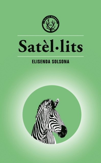 Elisenda Solsona - Satèl·lits, E-bok