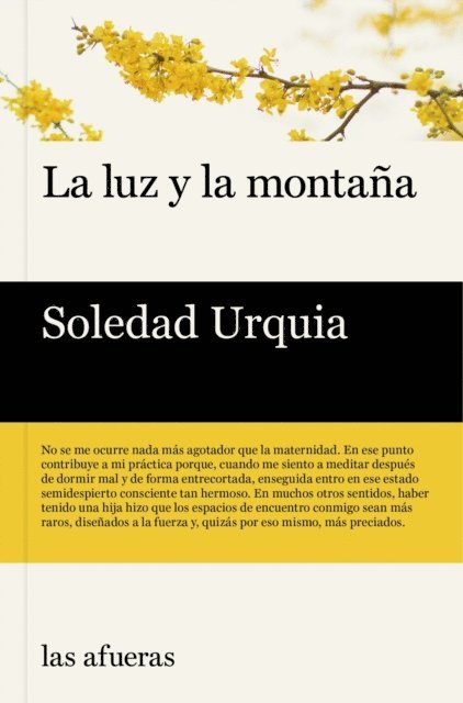 Soledad Urquia - La luz y la montaña, E-bok