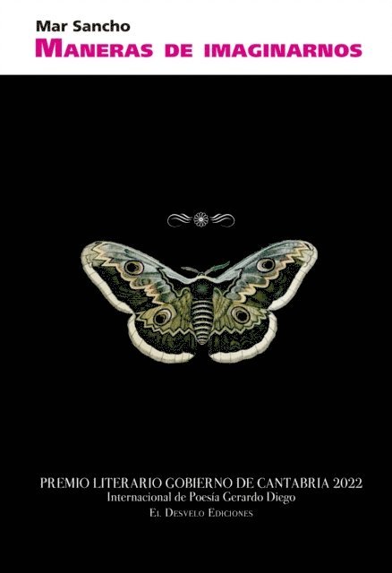 Mar Sancho, Javier Fernandez Rubio - Maneras de imaginarnos, E-bok
