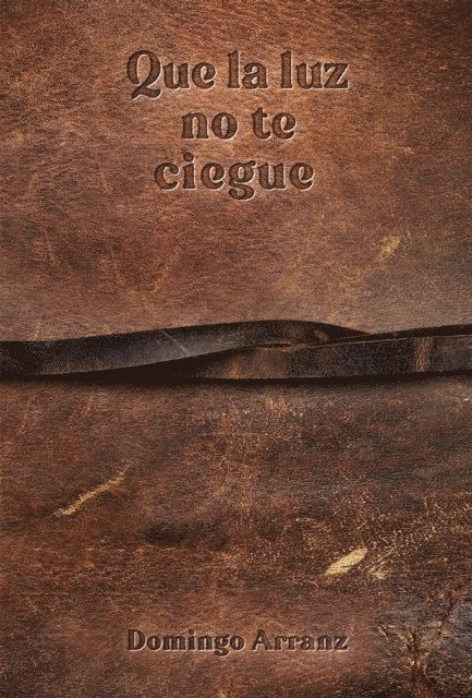 Domingo Arranz - Que la luz no te ciegue., E-bok