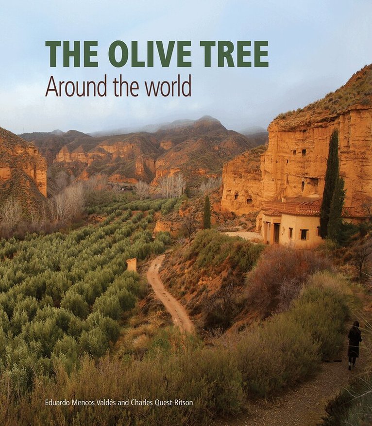 Charles Quest-Ritson - Olive Tree, Inbunden