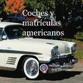 Coches y matr�culas americanos