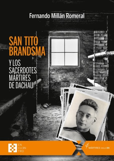 Fernando Millan Romeral - San Tito Brandsma y los sacerdotes mártires de Dachau, E-bok