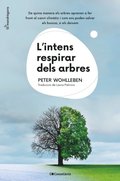 L''intens respirar dels arbres