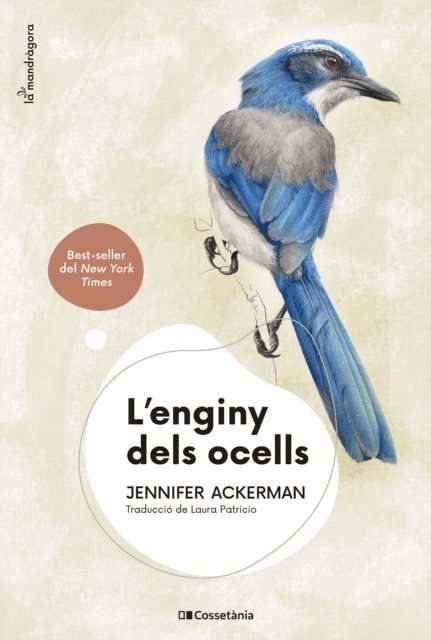 Jennifer Ackerman - L'enginy dels ocells, E-bok