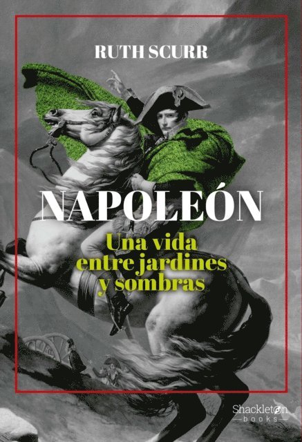 Ruth Scurr - Napoleón, E-bok