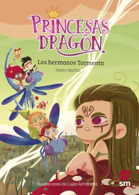 Pedro Manas Romero - Princesas Dragón 5: Los hermanos Tormenta, E-bok