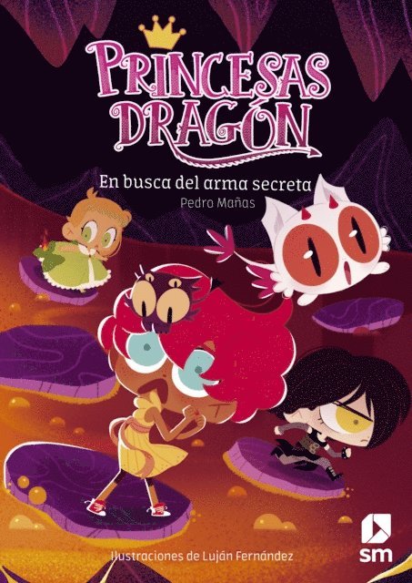 Pedro Manas Romero - Princesas Dragón 13: En busca del arma secreta, E-bok