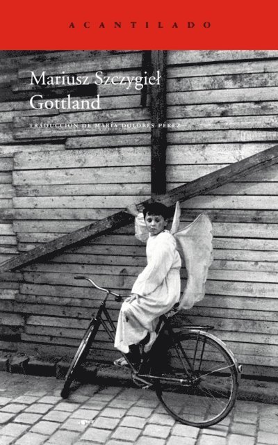 Mariusz Szczygiel - Gottland, E-bok
