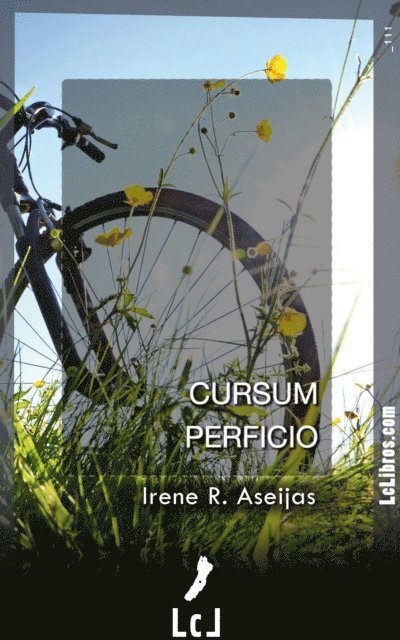 Irene Rodriguez Aseijas - Cursum Perficio, E-bok