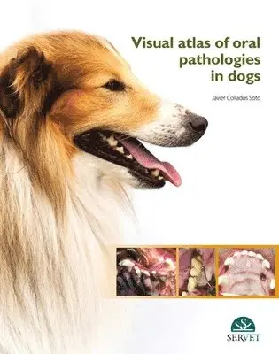Javier Collados Soto - Visual Atlas of Oral Pathologies in Dogs, Inbunden. Tillgänglighet: Lägg i varukorg