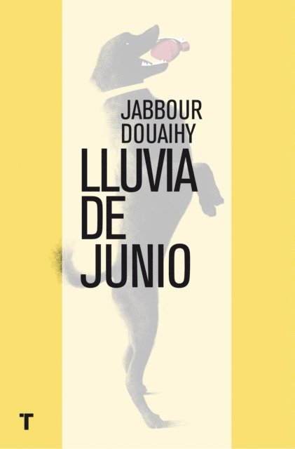 Jabbour Douaihy - Lluvia de junio, E-bok
