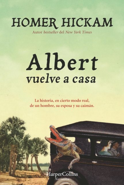 Homer Hickam - Albert vuelve a casa, E-bok