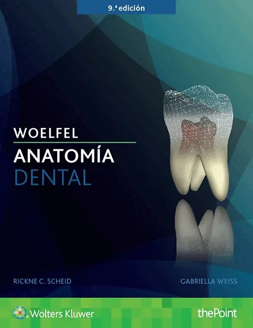 Rickne C. Scheid, Gabriela Weiss - Woelfel. Anatomía dental, Häftad. Tillgänglighet: Tillfälligt slut
