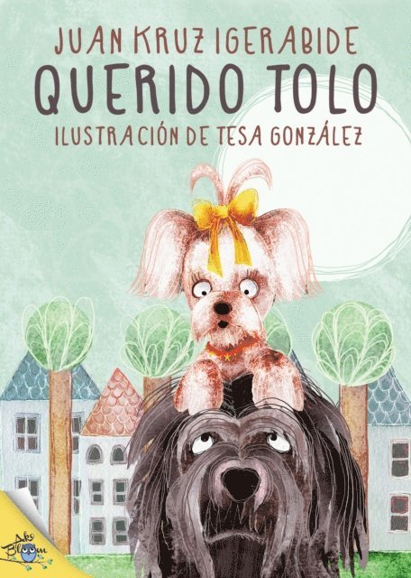 Juan Kruz Igerabide - Querido Tolo, E-bok
