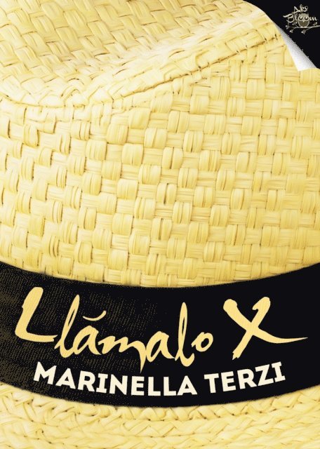 Marinella Terzi - Llámalo X, E-bok