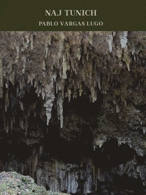 Pablo Vargas Lugo: Naj Tunich, Inbunden