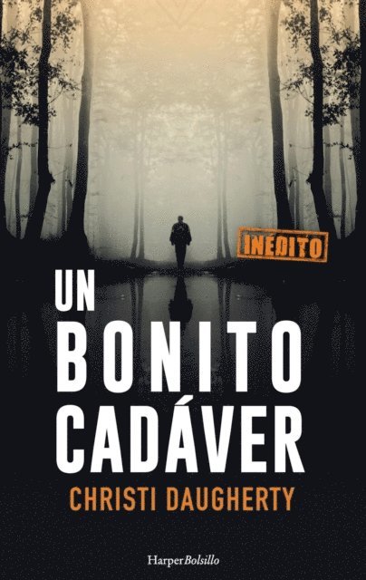 Cj Daugherty - Un bonito cadáver, E-bok