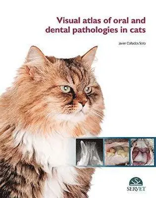 Javier Collados Soto - Visual Atlas of Oral and Dental Pathologies in Cats, Inbunden. Tillgänglighet: Lägg i varukorg