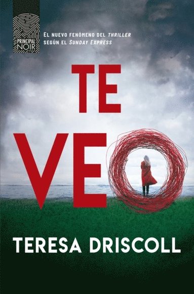Teresa Driscoll - Te veo, E-bok