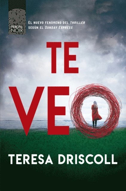 Teresa Driscoll - Te veo, E-bok