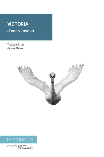 James Lasdun - Victoria, E-bok