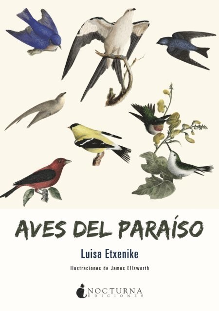 Luisa Etxenike - Aves del paraíso, E-bok