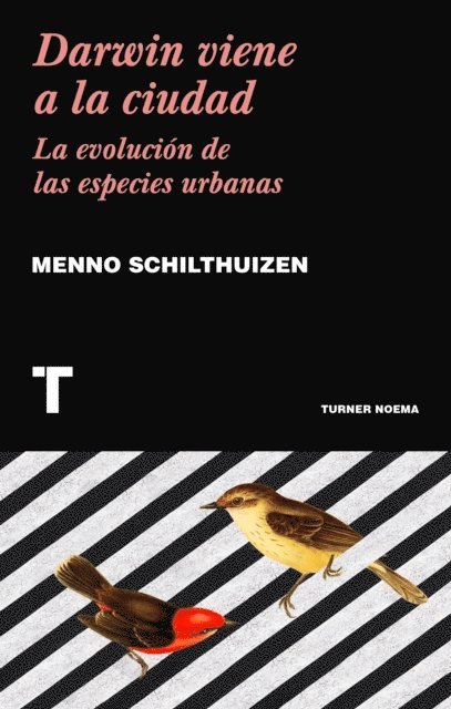 Menno Schilthuizen - Darwin viene a la ciudad, E-bok. Tillgänglighet: Lägg i varukorg