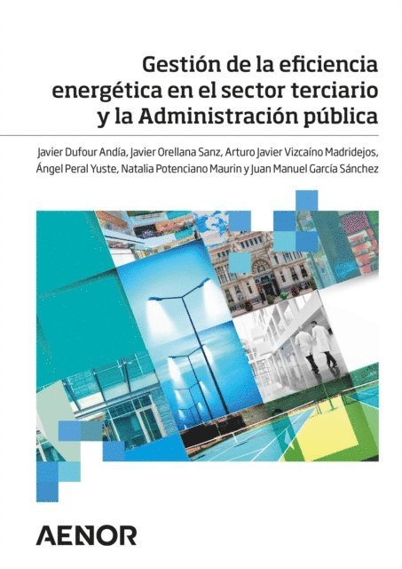 Juan Manuel Garcia Sanchez, Natalia Potenciano Maurin, Angel Peral Yuste, Arturo Javier Vizcaino Madridejos, Javier Orellana Sanz, Javier Dufour Andia - Gestión de la eficiencia energética en el sector terciario y la Administración pública, E-bok