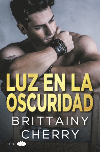 Brittainy Cherry - Luz en la oscuridad, E-bok
